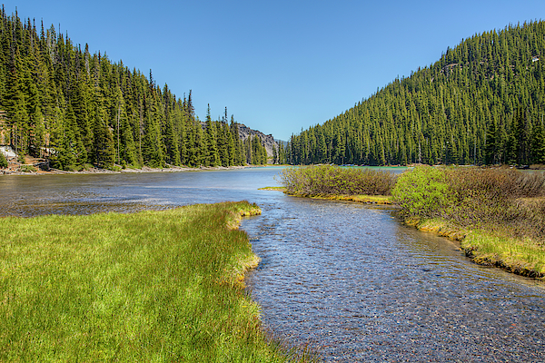 Tyee Creek 01095 by Kristina Rinell Tyee Creek 01095 by Kristina Rinell
